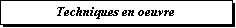 Zone de Texte: Techniques en oeuvre