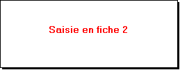 Zone de Texte: Saisie en fiche 2